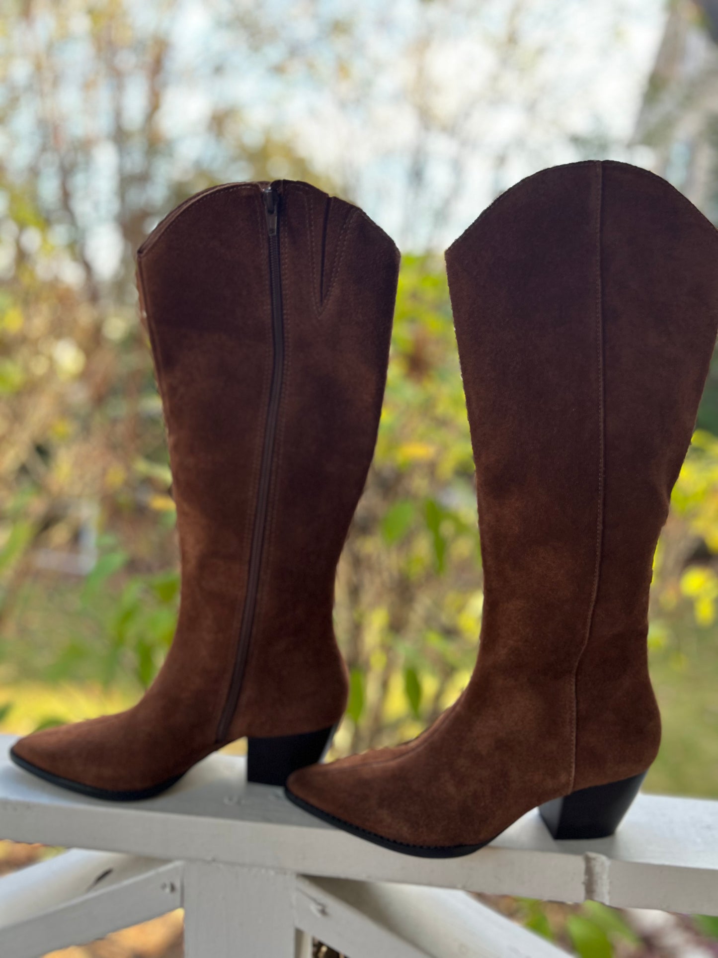 Matisse Bellamy Boot in Coffee