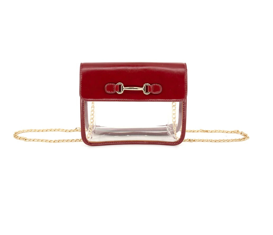 Clear Stadium Bag (multiple colors!)