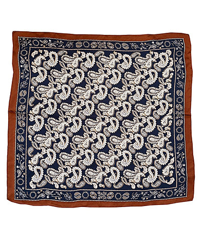 Paisley Border Scarf