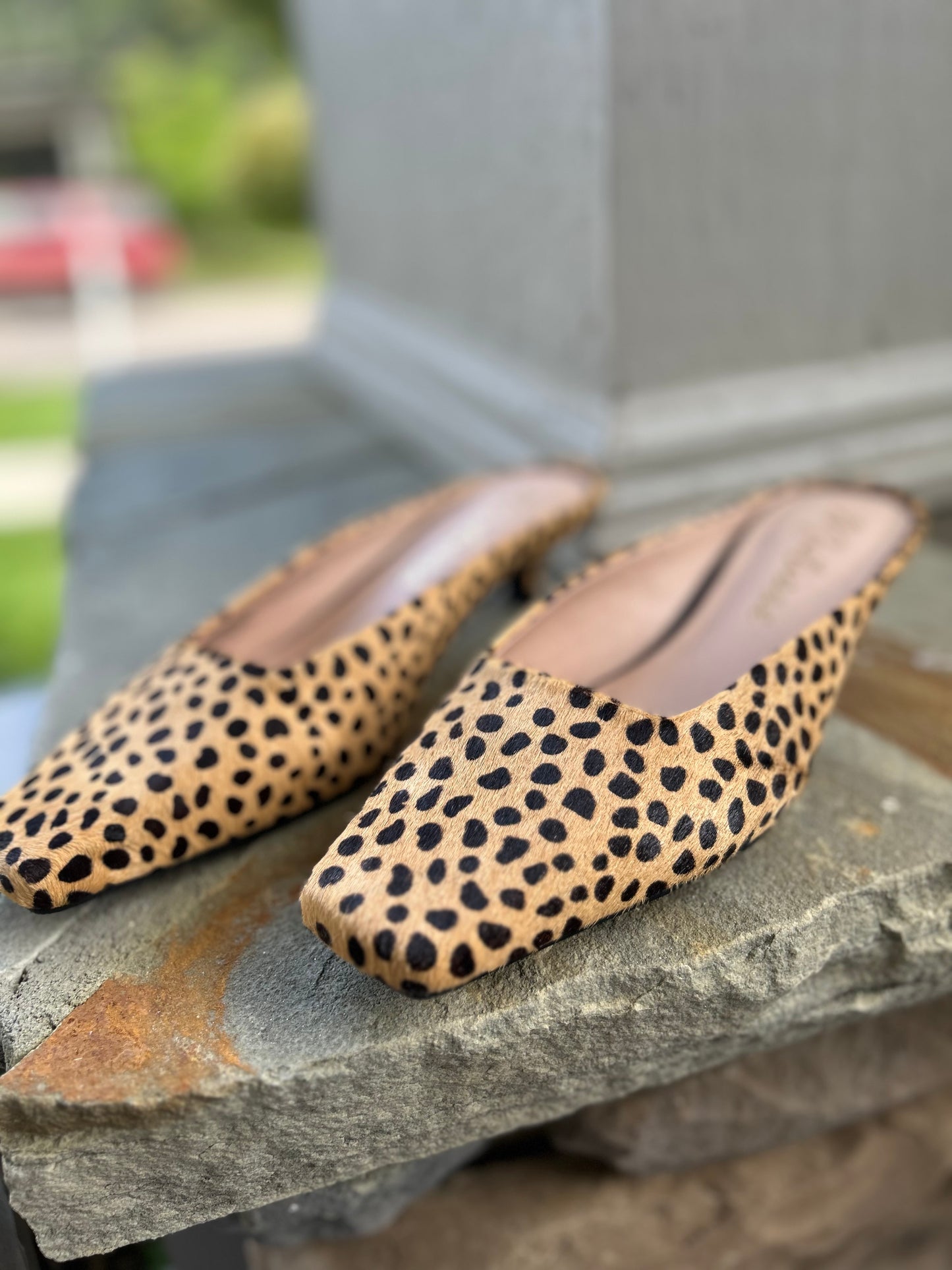 Cheetah Kitten-Heel Mules