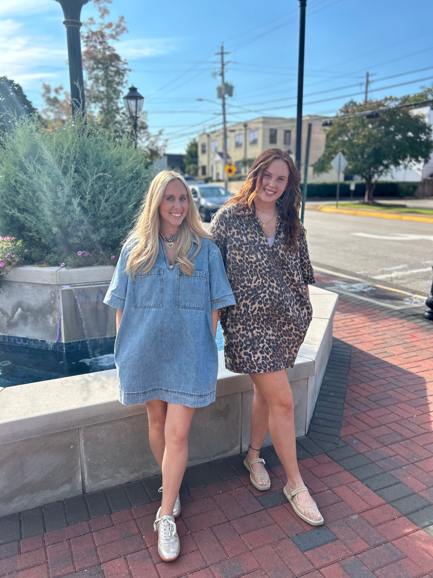 Brown Leopard Dress