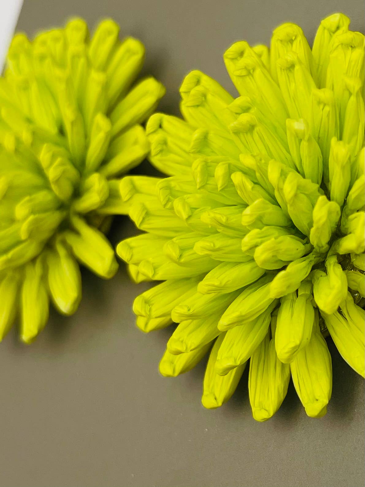 SPRING - Charming Floral Stud (citrus)