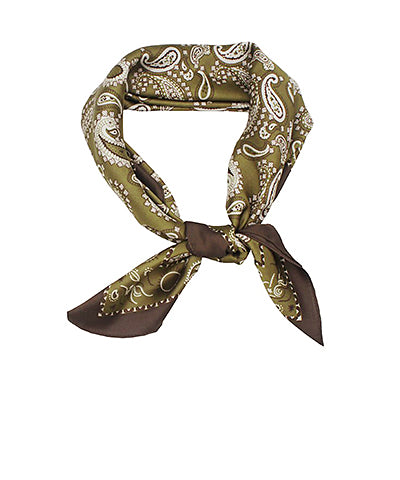 Paisley Border Scarf
