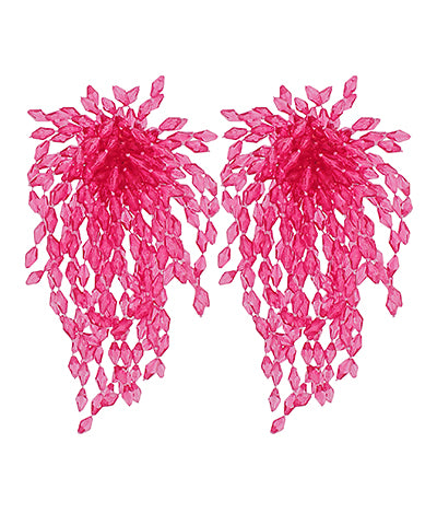 Clear Bead Fringe Long Earrings