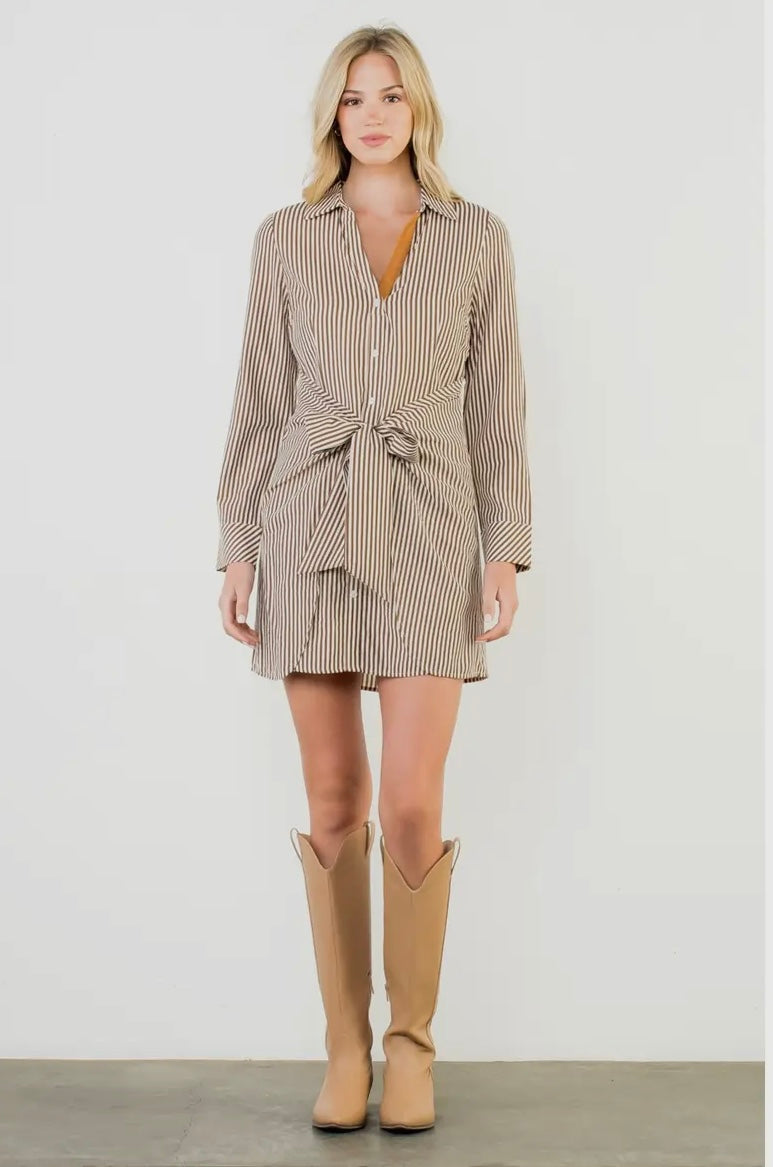 Long Sleeve Striped Dress (two colors!)