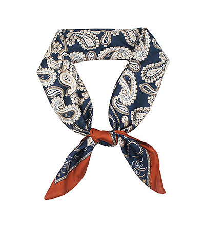 Paisley Border Scarf