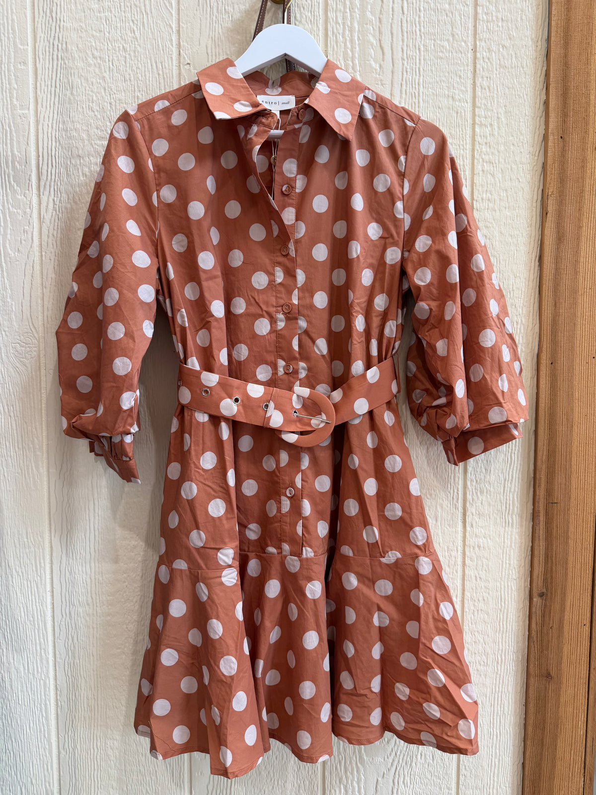 Polka dot long sleeve dress