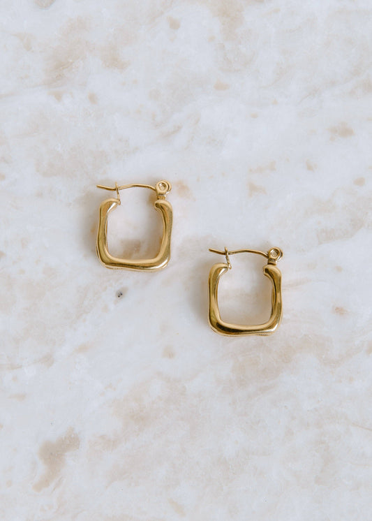 Hollow Earring
