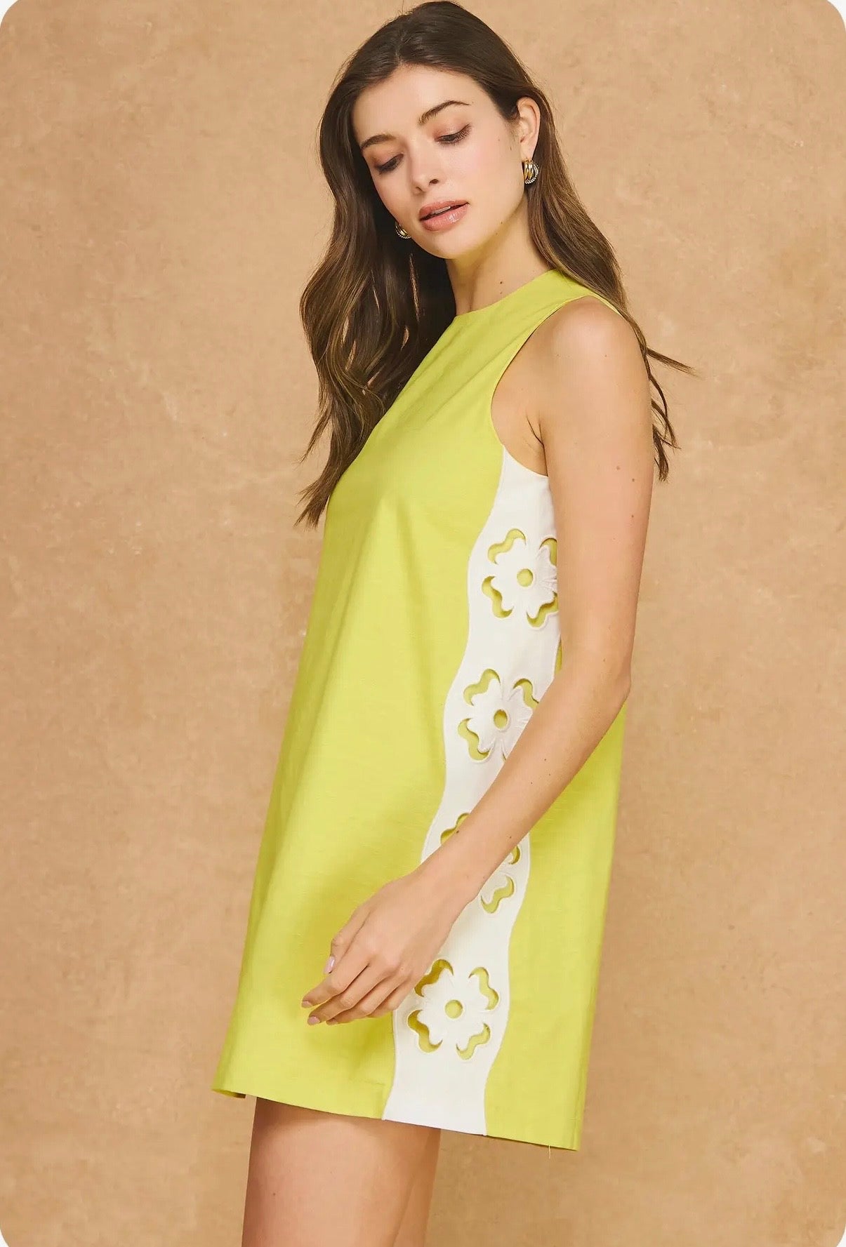 Embroidered Floral Cutout Sleeveless Shift Mini Dress