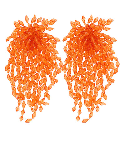 Clear Bead Fringe Long Earrings