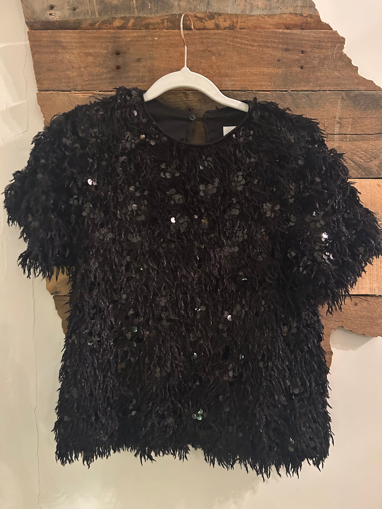 Short sleeve fluffy sequin top